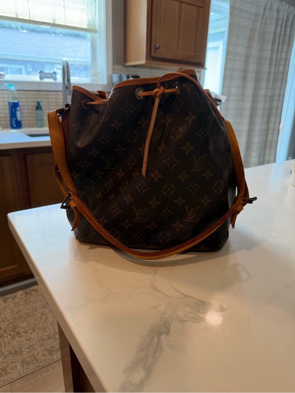 Louis Vuitton Monogram Canvas Bucket Bag with Tan Leather Trim